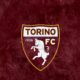 Torino calcio