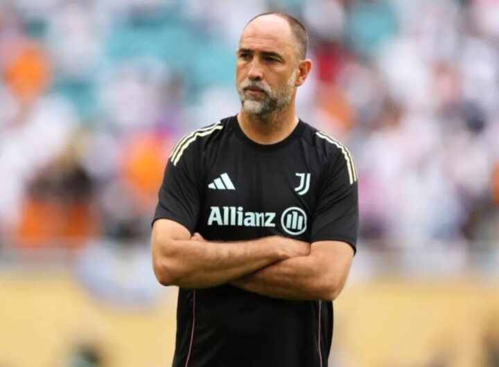 Tudor boccia l'acquisto