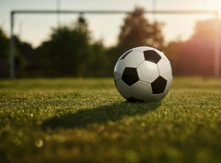 Pallone da calcio